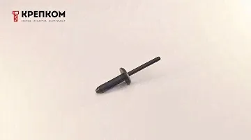 Заклепка автомобильная пластиковая 200 для VW, Audi